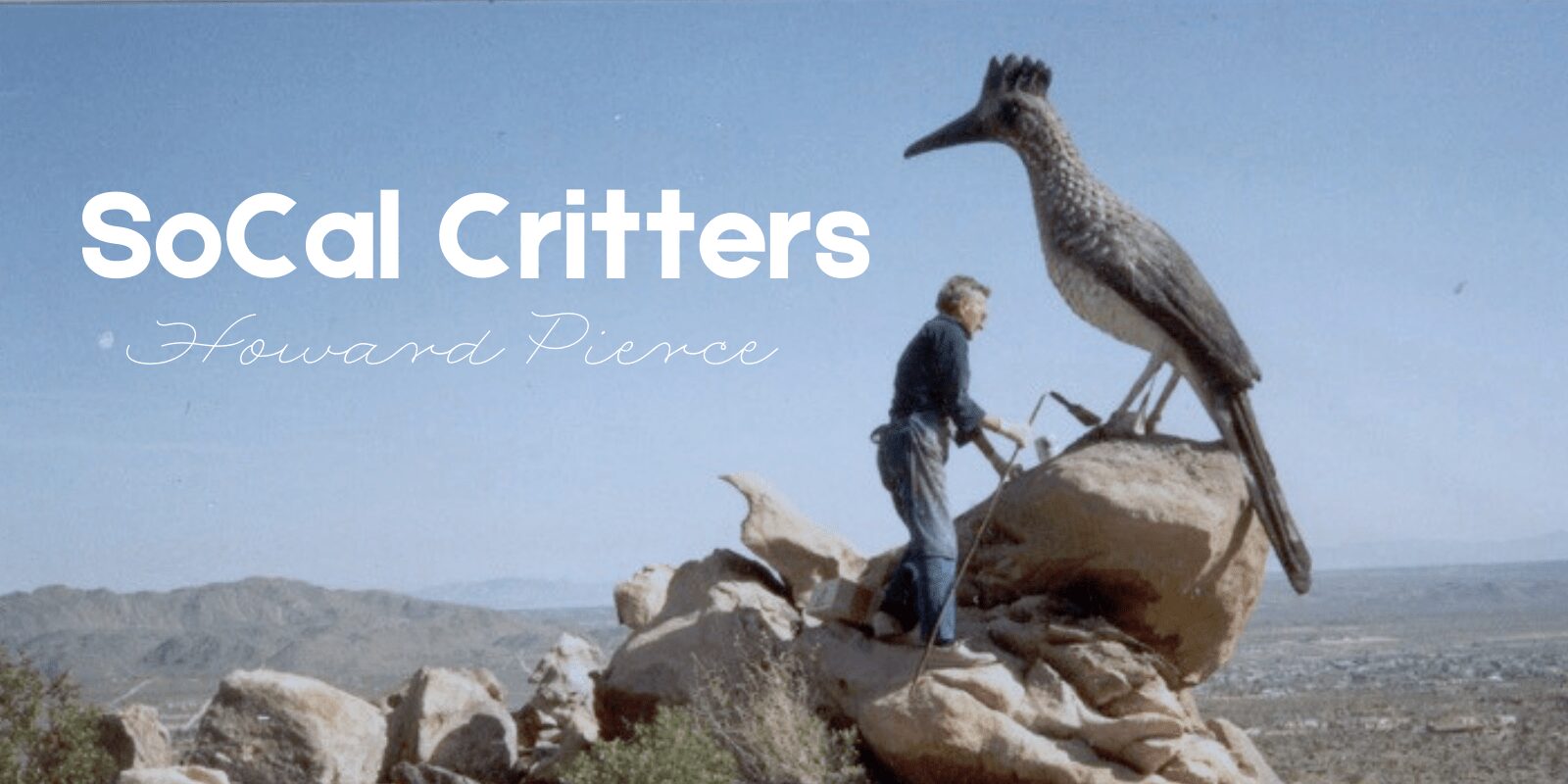 SoCal Critters: Celebrating Howard Pierce’s Playful Wildlife